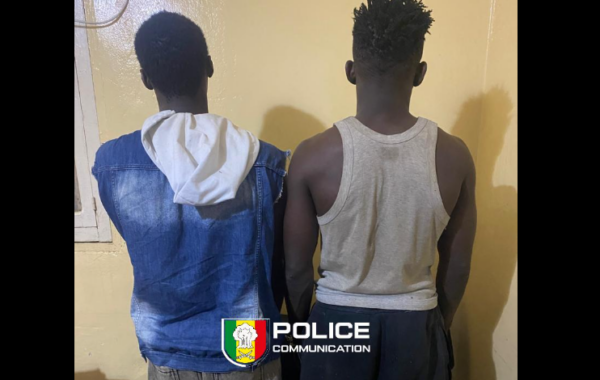 Kolda : la police démantèle deux gangs de rue et interpelle deux chefs de bande